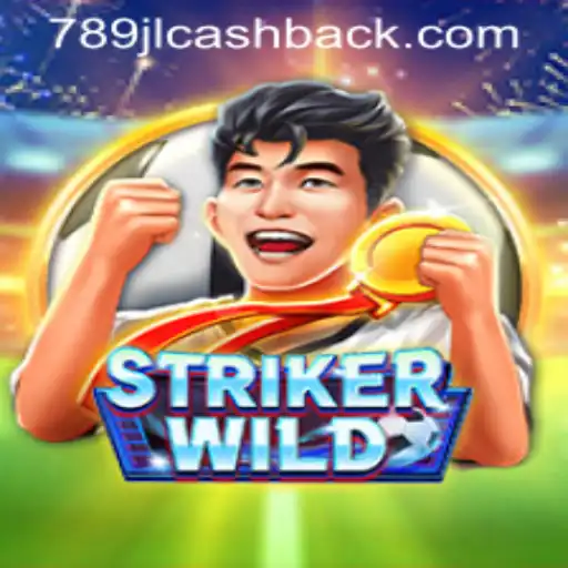 An In-Depth Look at StrikerWILD: The Innovative Game Captivating Audiences